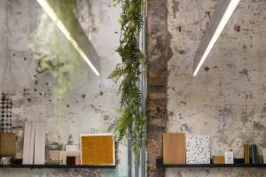 Jesus HOYA LABORDA - HOYA LABORDA JESUS